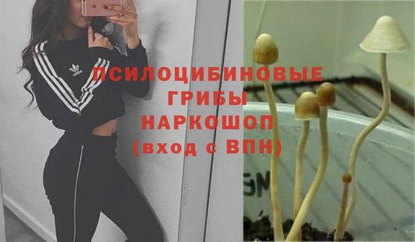 MESCALINE Каменск-Шахтинский