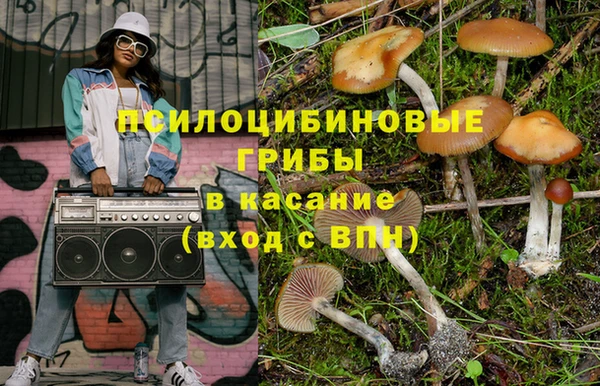 ГАЛЛЮЦИНОГЕННЫЕ ГРИБЫ Каменногорск