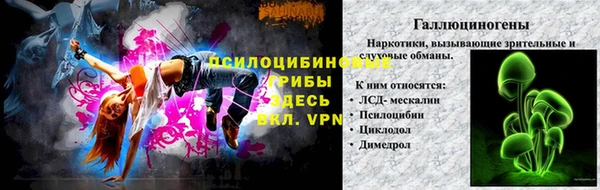 ГАЛЛЮЦИНОГЕННЫЕ ГРИБЫ Каменногорск
