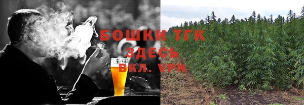 первитин Каменка