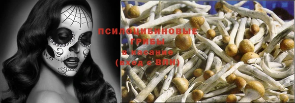 ГАЛЛЮЦИНОГЕННЫЕ ГРИБЫ Каменногорск