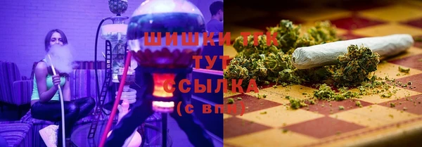 ГАЛЛЮЦИНОГЕННЫЕ ГРИБЫ Каменногорск