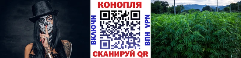 Купить закладки  Рошаль  Конопля план 